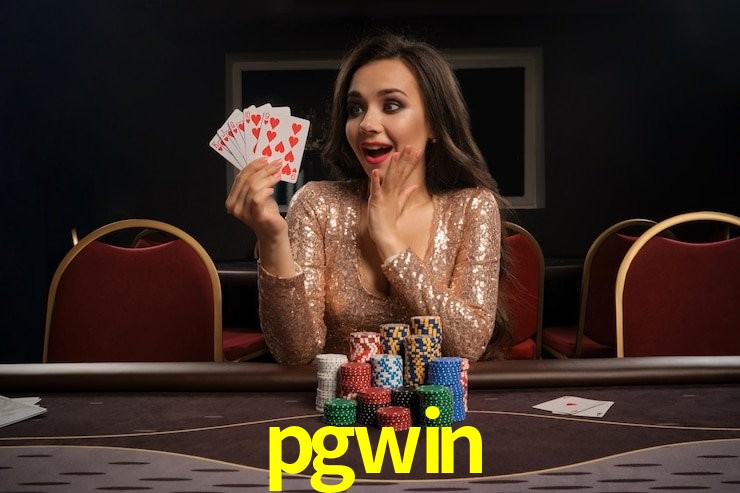 Interface Premium pgwin